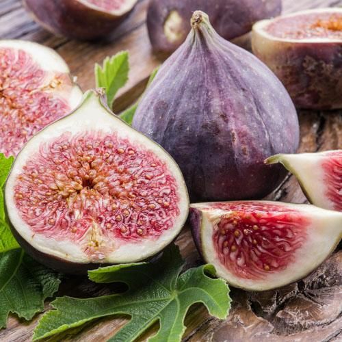 Mediterranean Fig